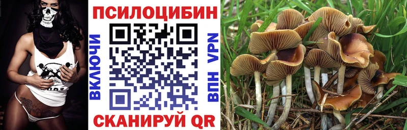Галлюциногенные грибы мухоморы  Купить закладки  Ейск 